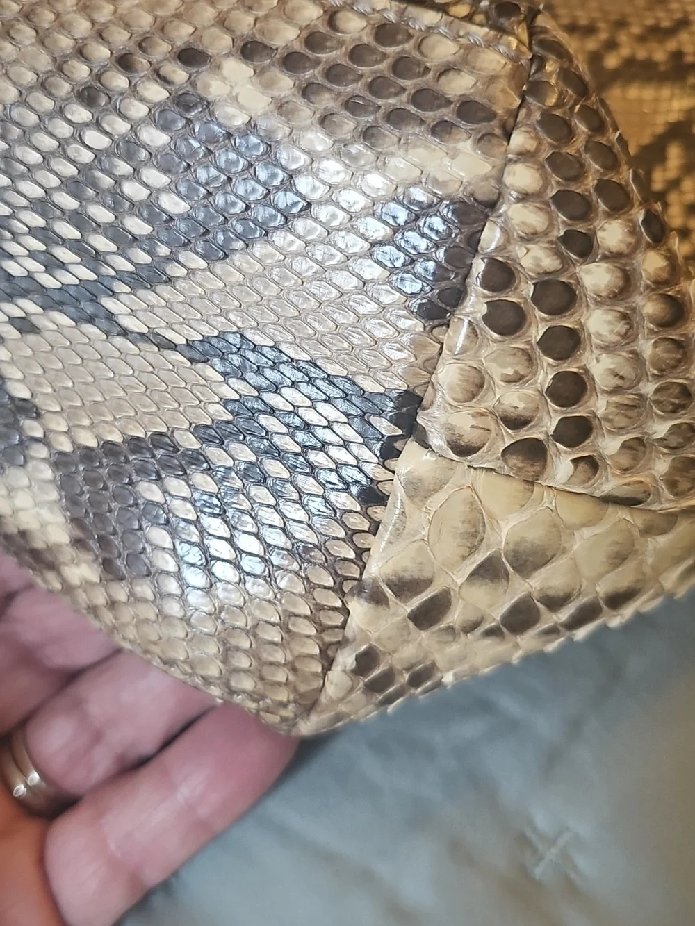 Gucci Large Python hobo - Picture 6 of 12